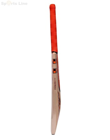 Gray-Nicolls Kaboom kashmir willow (SH)