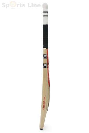 Gray-Nicolls oblivion E41 destroyer kashmir willow (SH)